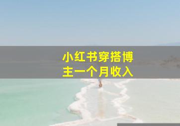 小红书穿搭博主一个月收入