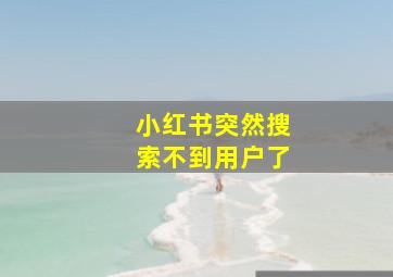 小红书突然搜索不到用户了