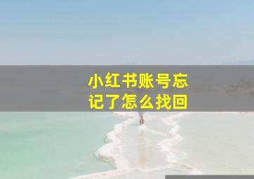 小红书账号忘记了怎么找回