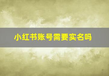 小红书账号需要实名吗