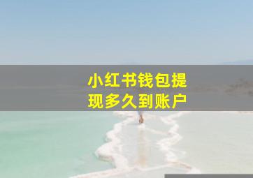 小红书钱包提现多久到账户