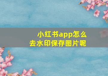 小红书app怎么去水印保存图片呢