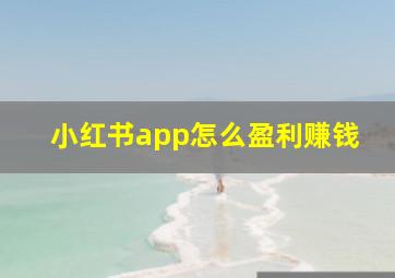 小红书app怎么盈利赚钱