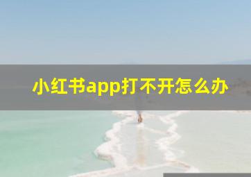 小红书app打不开怎么办