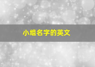 小组名字的英文