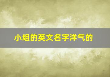 小组的英文名字洋气的