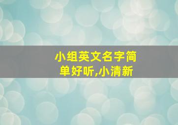 小组英文名字简单好听,小清新