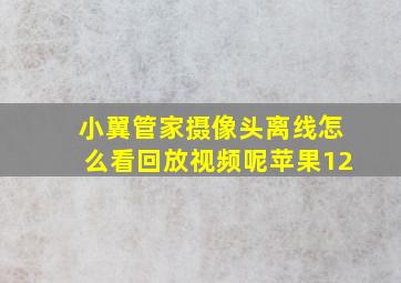 小翼管家摄像头离线怎么看回放视频呢苹果12