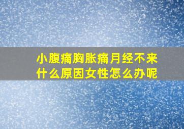 小腹痛胸胀痛月经不来什么原因女性怎么办呢