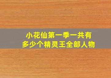 小花仙第一季一共有多少个精灵王全部人物