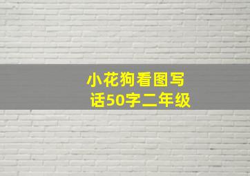 小花狗看图写话50字二年级