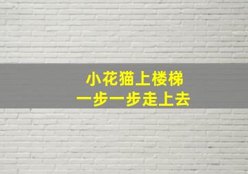 小花猫上楼梯一步一步走上去