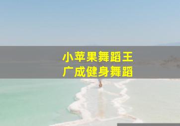 小苹果舞蹈王广成健身舞蹈