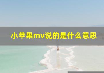 小苹果mv说的是什么意思