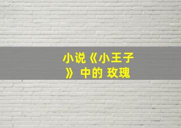 小说《小王子》 中的 玫瑰