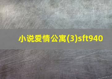 小说爱情公寓(3)sft940