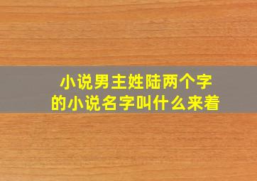 小说男主姓陆两个字的小说名字叫什么来着