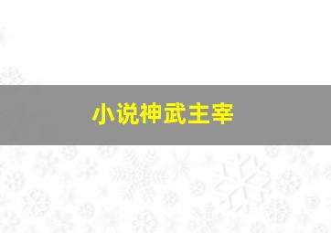 小说神武主宰