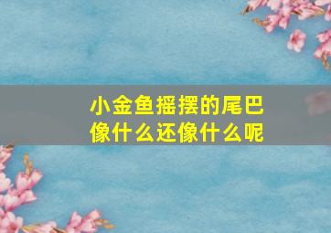 小金鱼摇摆的尾巴像什么还像什么呢