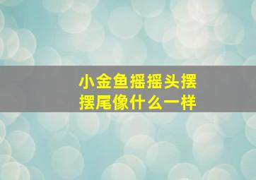 小金鱼摇摇头摆摆尾像什么一样