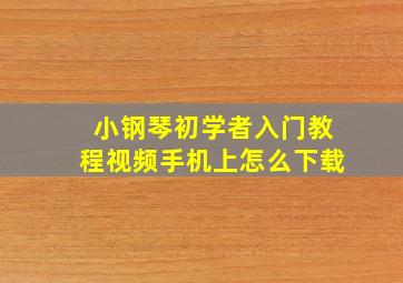 小钢琴初学者入门教程视频手机上怎么下载