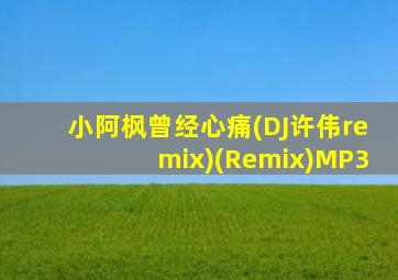 小阿枫曾经心痛(DJ许伟remix)(Remix)MP3