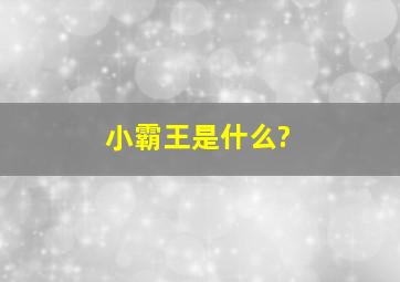 小霸王是什么?