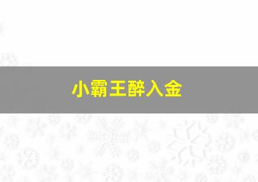 小霸王醉入金