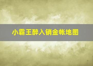 小霸王醉入销金帐地图