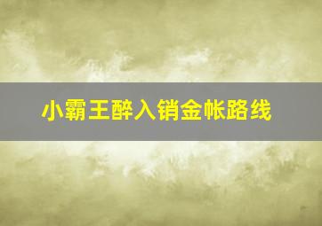 小霸王醉入销金帐路线