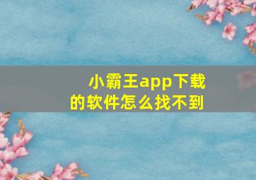 小霸王app下载的软件怎么找不到