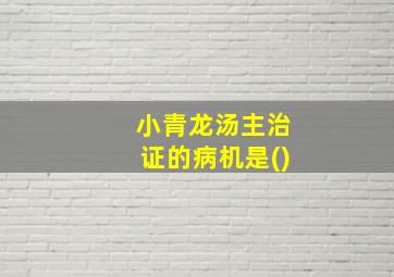 小青龙汤主治证的病机是()