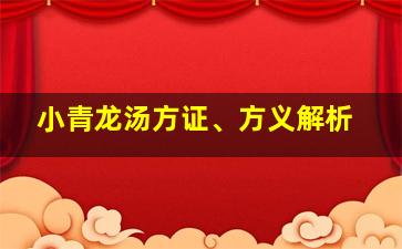 小青龙汤方证、方义解析