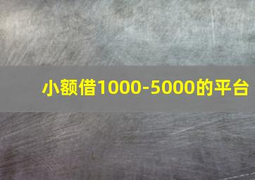 小额借1000-5000的平台