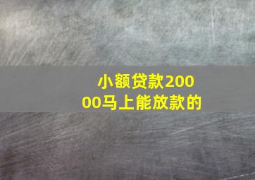 小额贷款20000马上能放款的