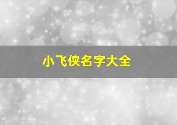 小飞侠名字大全