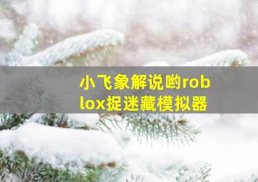 小飞象解说哟roblox捉迷藏模拟器