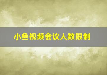 小鱼视频会议人数限制