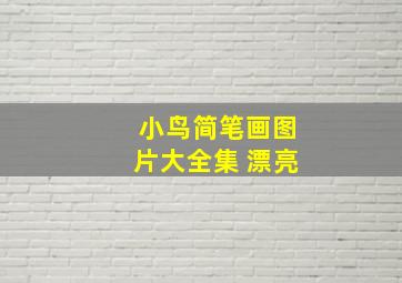 小鸟简笔画图片大全集 漂亮