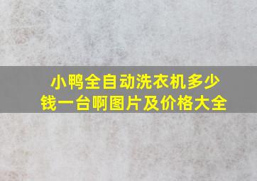 小鸭全自动洗衣机多少钱一台啊图片及价格大全