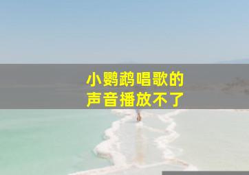 小鹦鹉唱歌的声音播放不了