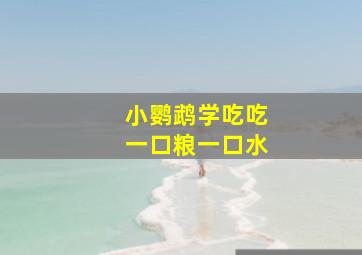 小鹦鹉学吃吃一口粮一口水