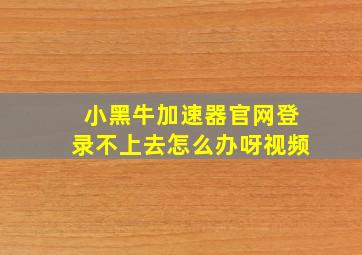 小黑牛加速器官网登录不上去怎么办呀视频