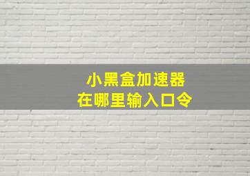 小黑盒加速器在哪里输入口令