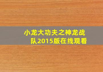 小龙大功夫之神龙战队2015版在线观看