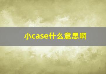 小case什么意思啊