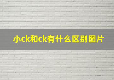 小ck和ck有什么区别图片