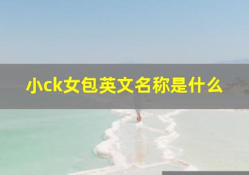 小ck女包英文名称是什么