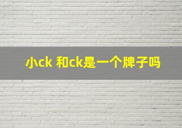 小ck 和ck是一个牌子吗