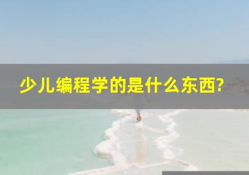 少儿编程学的是什么东西?